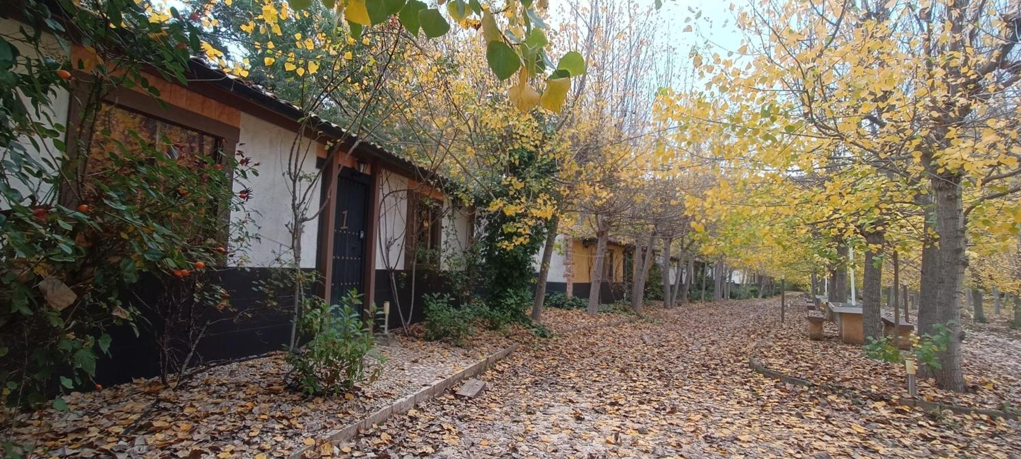 Casas Rurales Vado Del Rio Tus Cortijo Prados 外观 照片