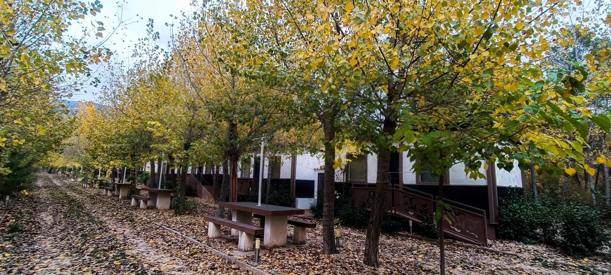 Casas Rurales Vado Del Rio Tus Cortijo Prados 外观 照片