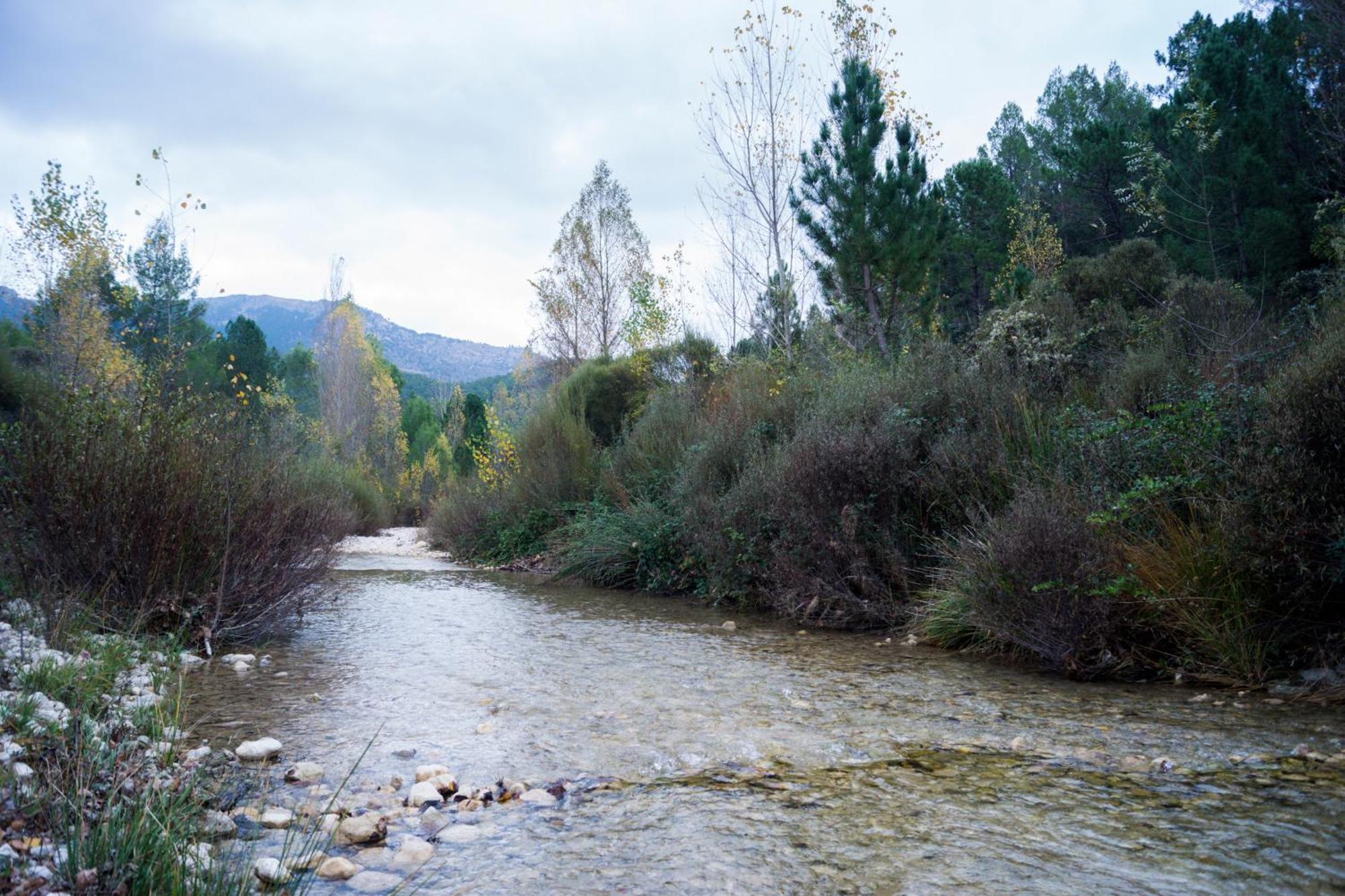 Casas Rurales Vado Del Rio Tus Cortijo Prados 外观 照片